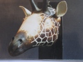francois-gueneau-artiste - Animaux céramique