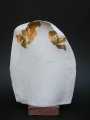 francois-gueneau-artiste - Vases céramique
