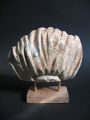 francois-gueneau-artiste - coiffures