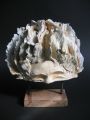 francois-gueneau-artiste - coiffures