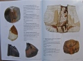 francois-gueneau-artiste - Actualités (expos, ventes)