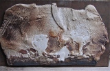 francois-gueneau-artiste - Terres d'ailleurs